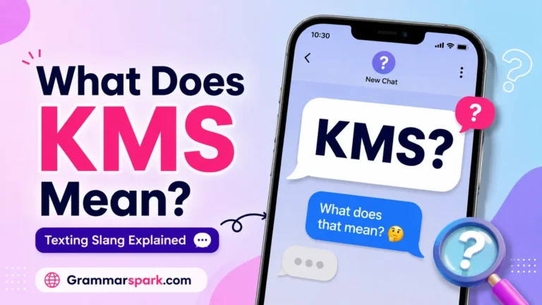 KMS meaning in text explained with a smartphone chat