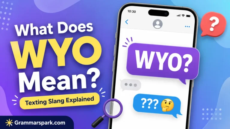 WYO Meaning in Text explained with a smartphone texting graphic