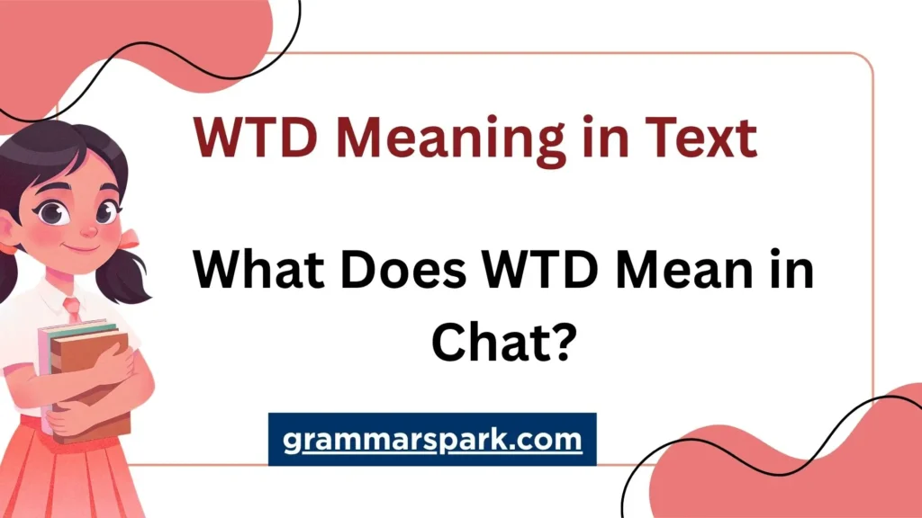 WTD meaning in text and chat